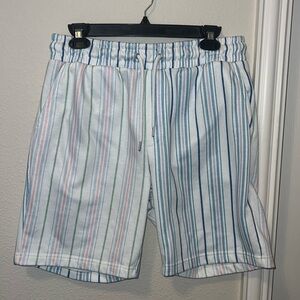 Forever 21 Men’s Large Multicolor shorts